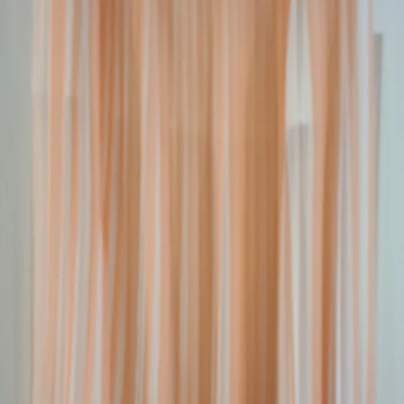 Club Monaco Peach and White Pleated Maxi Skirt New With Tags Size 10 - Picture 4 of 8